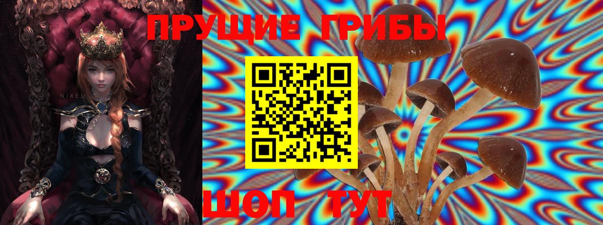 Псилоцибиновые грибы GOLDEN TEACHER Ржев